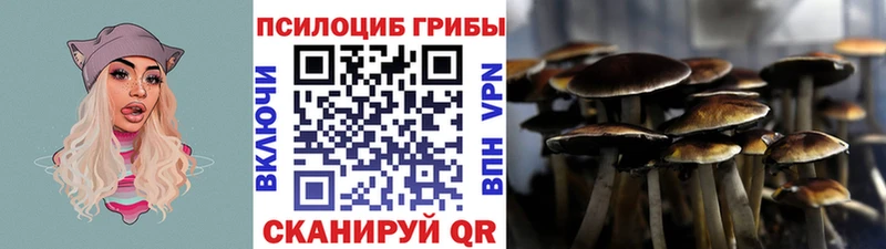 Галлюциногенные грибы Psilocybine cubensis купить закладку Шарья